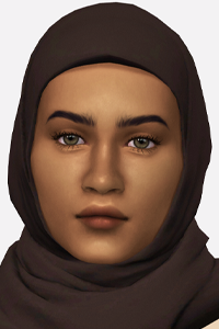 lightly detailed skinoverlay